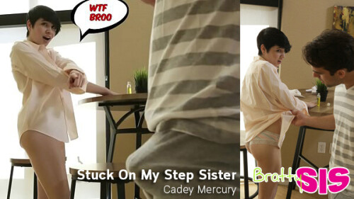 Stuck On My Step Sister