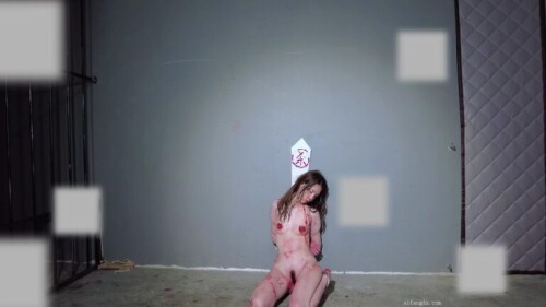 chn26012302.mp4 001316833 768x432