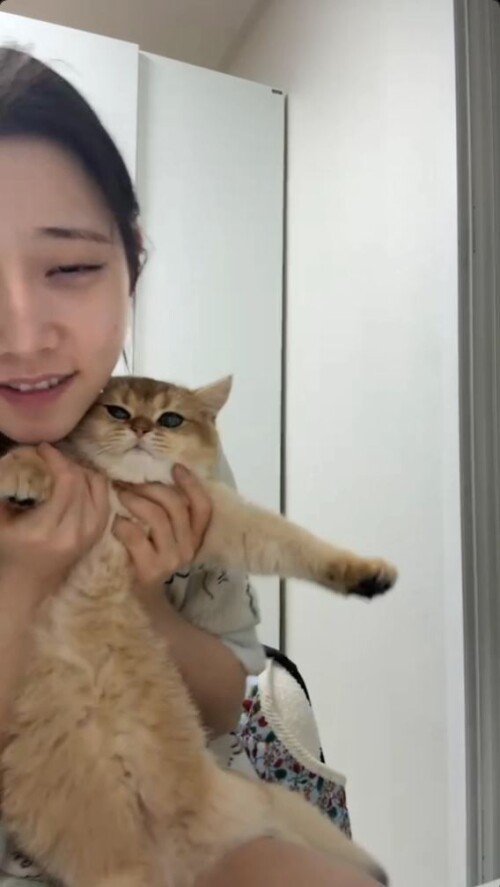 따끈한 숲 bj 짬지 노출.mp4 000278933