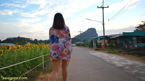 [sexypim] Sunflower field.mp4 snapshot 04.05.000