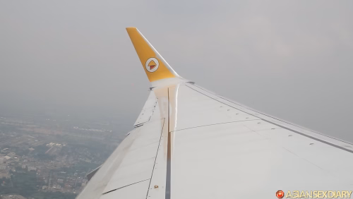 b97e0b81a16071750ff4-q50.avif