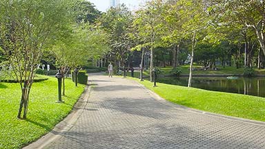 asd-content-post160669-cover.jpg