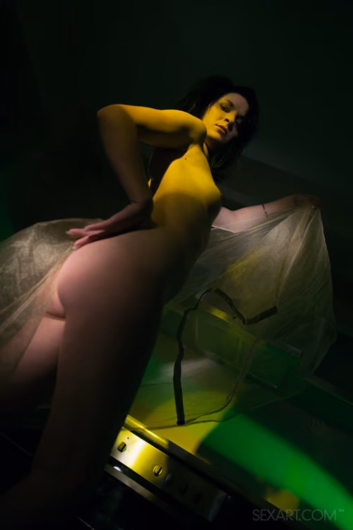 sexart-content-B9B047BBC5D734541DE2ECFFA8EB7B03-cover.avif